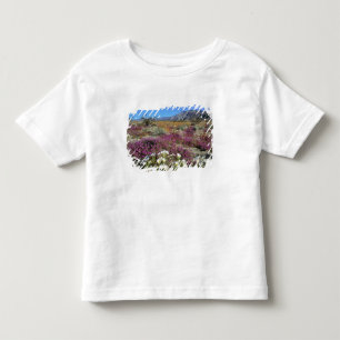 T-shirt Pour Les Tous Petits États-Unis, Californie, Anza-Borrego DSP. Soirée d