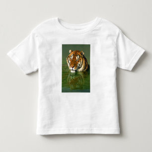 T-shirt Pour Les Tous Petits États-Unis, Californie, comté de Los Angeles. Beng
