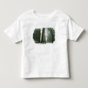 T-shirt Pour Les Tous Petits États-Unis, Californie, Parc national de Redwood,