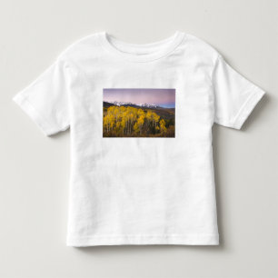 T-shirt Pour Les Tous Petits États-Unis, Colorado, Montagnes Rocheuses. Aube d