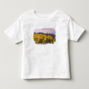 T-shirt Pour Les Tous Petits États-Unis, Colorado, Montagnes Rocheuses. Aube d