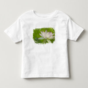 T-shirt Pour Les Tous Petits États-Unis, DC, Washington, Kenilworth Aquatique