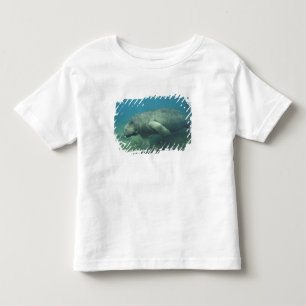 T-shirt Pour Les Tous Petits États-Unis, FL, Manatee