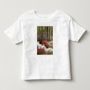 T-shirt Pour Les Tous Petits États-Unis, Géorgie, Pine Mountain. Une forêt de