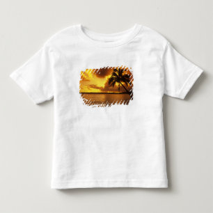 T-shirt Pour Les Tous Petits États-Unis, Hawaï, Kauai, Lever de soleil coloré d