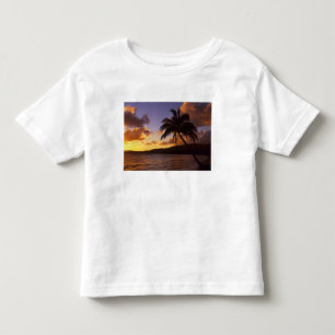 T-shirt Pour Les Tous Petits États-Unis, Hawaï, Kauai, Lever de soleil coloré d
