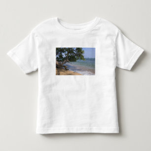 T-shirt Pour Les Tous Petits États-Unis, Hawaï, Kauai, paysage de plage. RF)