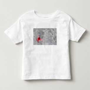 T-shirt Pour Les Tous Petits États-Unis, Indiana, Indianapolis. Un cardinal mâl