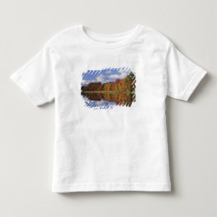 T-shirt Pour Les Tous Petits États-Unis, Massachusetts, Acton. Reflet de l'auto