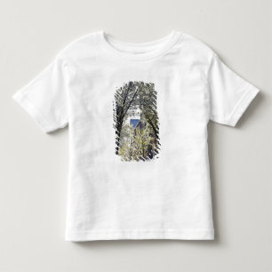 T-shirt Pour Les Tous Petits États-Unis, Massachusetts, Boston, Beacon Hill.