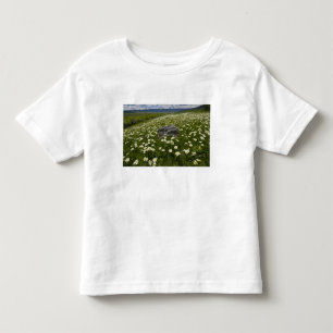 T-shirt Pour Les Tous Petits États-Unis, Montana, Fleurs de marguerite