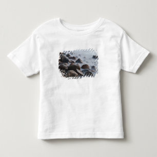 T-shirt Pour Les Tous Petits États-Unis, New York, East Hampton. surf océaniq