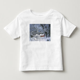 T-shirt Pour Les Tous Petits États-Unis, Oregon, comté de Clackamas. Neige fraî