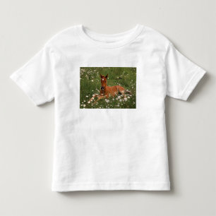 T-shirt Pour Les Tous Petits États-Unis, Oregon, Poney arabe.