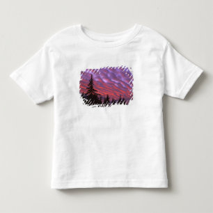 T-shirt Pour Les Tous Petits États-Unis, Oregon, Three Sisters Wilderness, Vivi