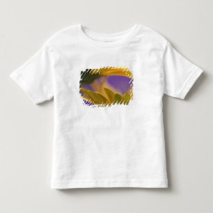 T-shirt Pour Les Tous Petits États-Unis, Pennsylvanie. Gerbera jaunes, rapproch