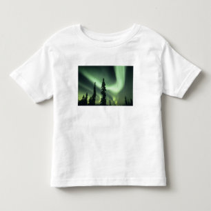 T-shirt Pour Les Tous Petits États-Unis, région de Fairbanks, centre de l'Alask