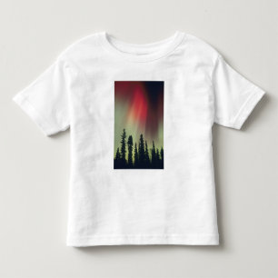 T-shirt Pour Les Tous Petits États-Unis, région de Fairbanks, centre de l'Alask