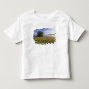 T-shirt Pour Les Tous Petits États-Unis, Tennessee. Great Smokey Mountains