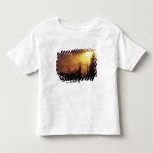 T-shirt Pour Les Tous Petits États-Unis, Tennessee, Great Smoky Mountains NP. 2