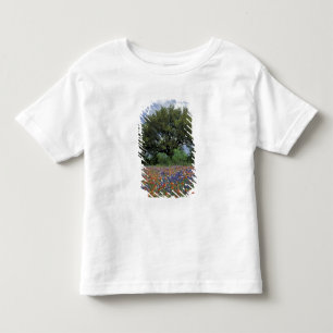 T-shirt Pour Les Tous Petits États-Unis, Texas, Marble Falls Pinceau et