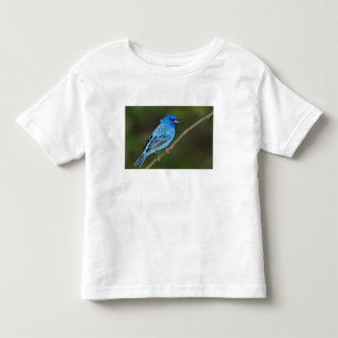 T-shirt Pour Les Tous Petits États-Unis, Texas, South Padre Island