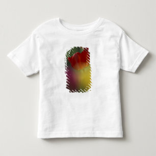 T-shirt Pour Les Tous Petits États-Unis, Utah, Cache Valley Tulipes dans un jar