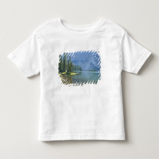 T-shirt Pour Les Tous Petits États-Unis, Utah, Forêt nationale d'Ashley, Haute- (Devant)