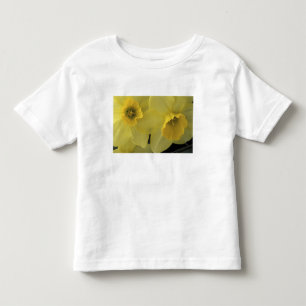 T-shirt Pour Les Tous Petits États-Unis, Utah, jonquilles de Cache Valley