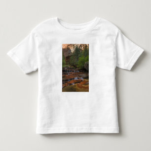 T-shirt Pour Les Tous Petits États-Unis, Utah, Zion National Park.  Pittoresqu