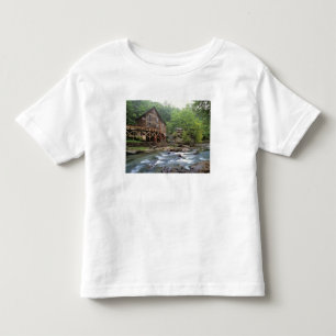 T-shirt Pour Les Tous Petits États-Unis, Virginie-Occidentale, Babcock SP. Rust