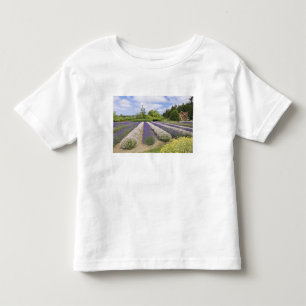 T-shirt Pour Les Tous Petits États-Unis, WA, Sequim, Purple Haze Lavender Farm