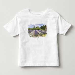 T-shirt Pour Les Tous Petits États-Unis, WA, Sequim, Purple Haze Lavender Farm