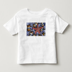 T-shirt Pour Les Tous Petits États-Unis, Washington, Hood Canal, Seabeck. Gros