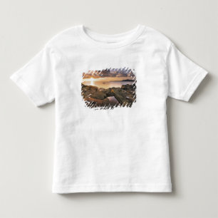 T-shirt Pour Les Tous Petits États-Unis, Washington, îles San Juan.  Un spect