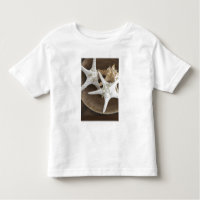 Étoiles de mer dans un panier