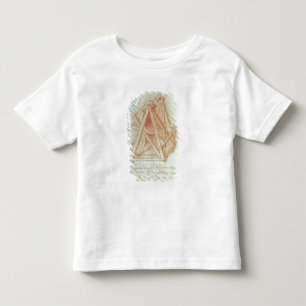 T-shirt Pour Les Tous Petits Étude du cadre en bois avec le bâti