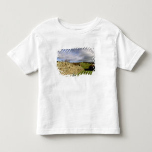 T-shirt Pour Les Tous Petits Europe, Angleterre, Northumberland. Mur d'Hadrien