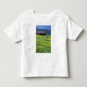 T-shirt Pour Les Tous Petits Europe, Italie, Toscane, Sienne, Chianti.