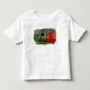 T-shirt Pour Les Tous Petits Europe, Pays de Galles, Cardiff. Château de Cardif