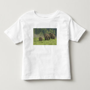 T-shirt Pour Les Tous Petits Famille d'éléphants indiens