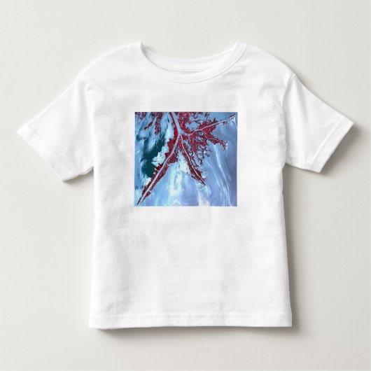 T-shirt Pour Les Tous Petits Faux satellite (Devant)