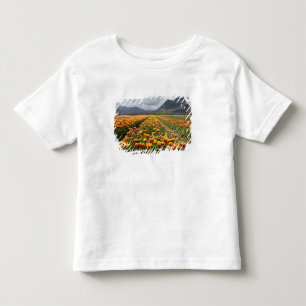 T-shirt Pour Les Tous Petits Ferme de tulipes près d'Agassiz, Colombie-Britanni