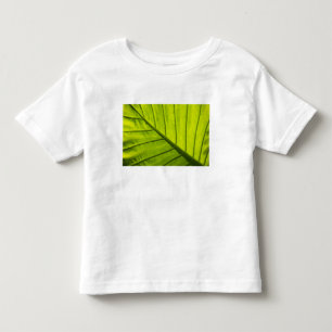 T-shirt Pour Les Tous Petits Feuilles vertes veinées de feuillage tropical en 2