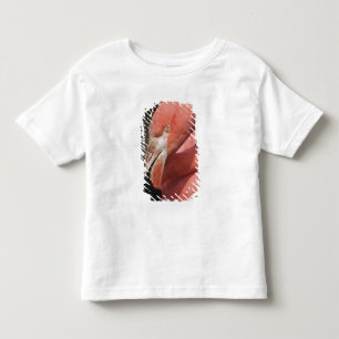 T-shirt Pour Les Tous Petits Flamant du Chili, Phoenicopterus chilensis