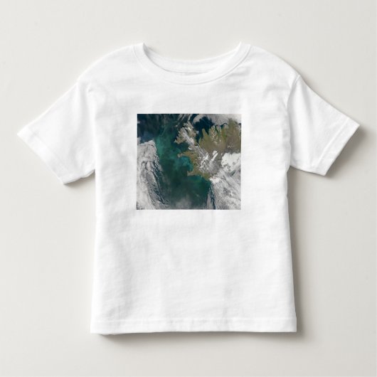 T-shirt Pour Les Tous Petits Floraison de phytoplancton dans l'Atlantique Nord (Devant)