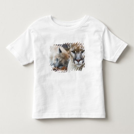T-shirt Pour Les Tous Petits Floride Panther (Devant)