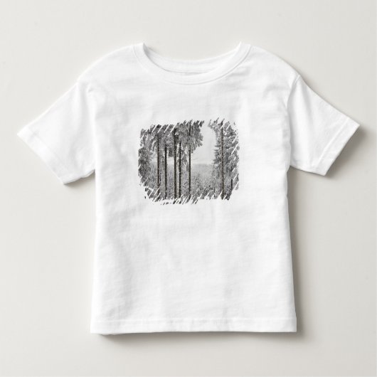 T-shirt Pour Les Tous Petits Forêt à feuillage persistant en hiver (Devant)