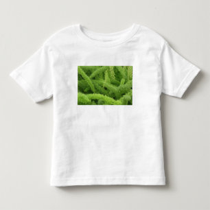 T-shirt Pour Les Tous Petits Fougère queue de renard, Asparagus densiflorus mye