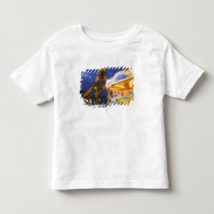T-shirt Pour Les Tous Petits France, Paris. Tour Eiffel dans le brouillard crép